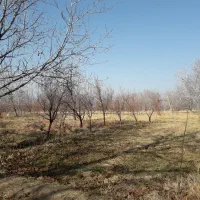 باغ الوان در روستای گوروان عجبشیر|فروش زمین و ملک کلنگی|عجب شیر, |دیوار