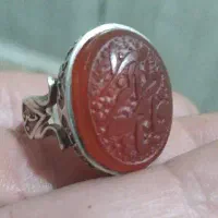 انگشترنقره925خط گرمی340