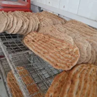 بربری دانه ۱۰ تومن