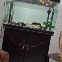 وسایل خانه|تجهیزات ورزشی|تهران, خواجه نظام الملک|دیوار