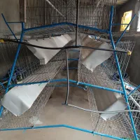 فروش قفس مرغ تخمگذار|لوازم جانبی حیوانات|خواجه, |دیوار