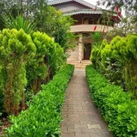 باغ-ویلا-کلاسیک-حیاطدار