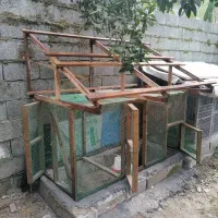 قفس پرنده