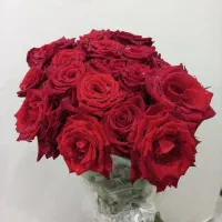 دسته گل طبیعی|گل و گیاه طبیعی|تهران, بهار|دیوار