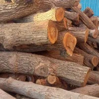 خرید فروش اسلب و چوب|عمدهفروشی|بردسیر, |دیوار