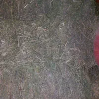 پرس یونجه|لوازم جانبی حیوانات|گرمخان, |دیوار