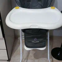 صندلی غذا،تشک آنتی رفلاکس،پشه بند،ساک،کریر