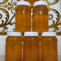 عسل گون گز انگبین کوهستان