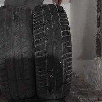 لاستیک ساینا و لاستیک پرشیا