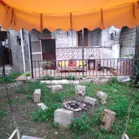 خونه باغ موحدی|اجارهٔ کوتاه‌مدت آپارتمان و سوئیت|شیرگاه, |دیوار