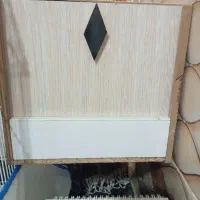 لون طوطی برزیلی ومرغ عیش در حویزه