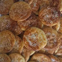 کلوای خانگی