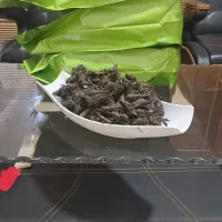 پخش عمده برگ بو اعلا صادراتی  و برگ رزماری سرخارگل|خوردنی و آشامیدنی|تهران, تهرانسر شرقی|دیوار