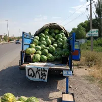 فروش بصورت نقد میباشد|خودرو سواری و وانت|اردبیل, |دیوار
