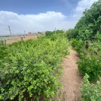 زمین چهاردیواری (سنددار) غرق اباد