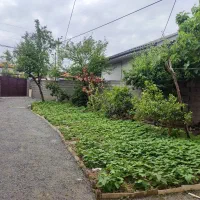 زمین برای مشارکت|مشارکت در ساخت املاک|لاهیجان, لیالستان|دیوار