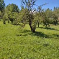 یک-عدد-باغ-آبی-و-13-هزار-متر-زمین-دیم-گرماخانه