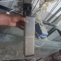 یک عدد آکواریوم باتمام مخلفات بفروش می رسد|ماهی|جزنیک, |دیوار