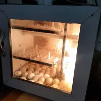 دستگاه جوجه کشی