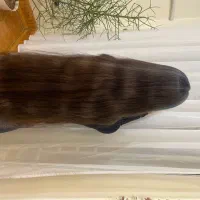 فروش موی طبیعی