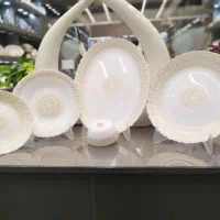 سرویس ارکوپال ومرغ خوری وشکلات خوری چینی