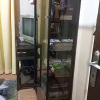 قفسه جا کتابی