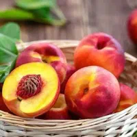 تولید نهال شلیل ردگلد|خدمات باغبانی و درختکاری|جونقان, |دیوار