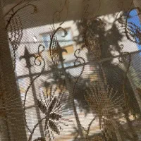 پرده پذیرایی|پرده، رانر، رومیزی|رشت, دیلمان|دیوار