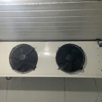 سردخانه خرما