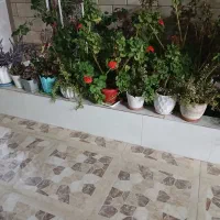 فروش گل و گلدان