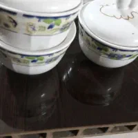 تعدادی ظرف پیرک واستیل ۱۰۰ تومان