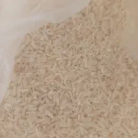 برنج محلی  شمیم دره شهر