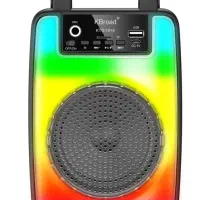 اسپیکر KTS1919