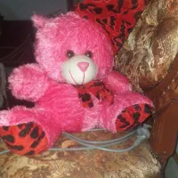 عروسک خرس|اسباب‌بازی بچه|ارومیه, |دیوار