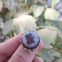 سه پوست   مصور   مراکش|بدلیجات|اهواز, دانشگاه چمران|دیوار