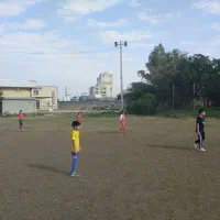 معلم دوره ابتدایی