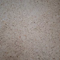 فروش برنج‌طلارم‌ محلی (سنگه طارم)مازندران
