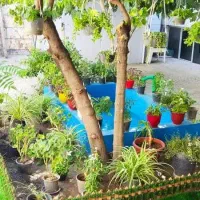 منزل چند قدمی حرم مطهر رضوی بسیار تمیز