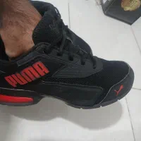 کتونی اورجینال پوما