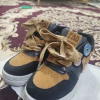 کتونی در حد نو|کیف، کفش، کمربند|پرند, فاز ۲|دیوار