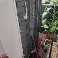 یخچال|یخچال و فریزر|دهگلان, |دیوار