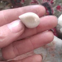 سنگ|کلکسیون اشیاء عتیقه|قم, حاج خلیل|دیوار