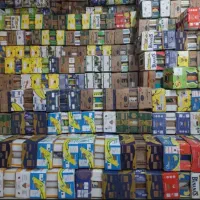 کارتون موزی