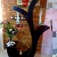 ویترین در حد نو