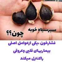 سیر سیاه|خوردنی و آشامیدنی|ساری, |دیوار