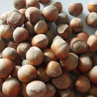 فندق برداشت شهریور ۱۴۰۴