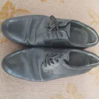 کفش مجلسی اورجینال|کیف، کفش، کمربند|مینودشت, |دیوار