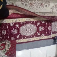 فرش ۱۲متری لاکی به علاوه کناره|فرش|ملارد, |دیوار