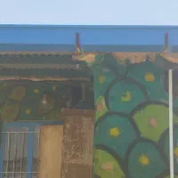 معاوضه باغ سند دار در سهند با آپارتمان و ماشین|فروش خانه و ویلا|سهند, |دیوار