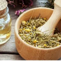 درآمدزایی با گوشی برای بانوان